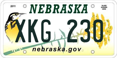 NE license plate XKG230
