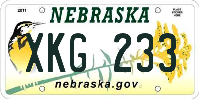 NE license plate XKG233
