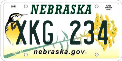 NE license plate XKG234