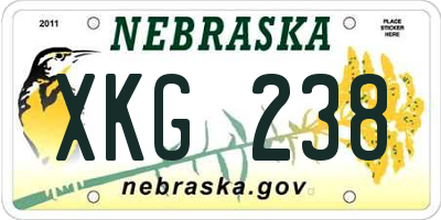 NE license plate XKG238