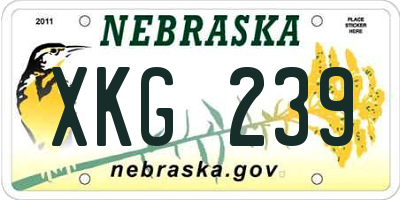 NE license plate XKG239