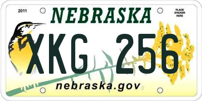 NE license plate XKG256