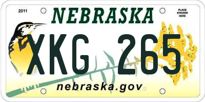 NE license plate XKG265