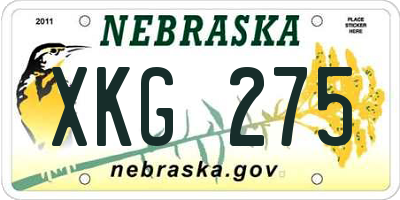 NE license plate XKG275