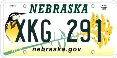 NE license plate XKG291