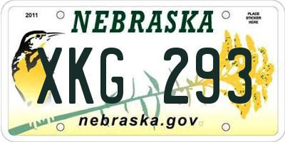 NE license plate XKG293
