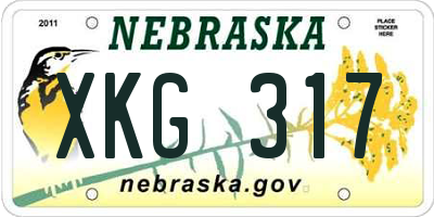 NE license plate XKG317