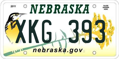 NE license plate XKG393