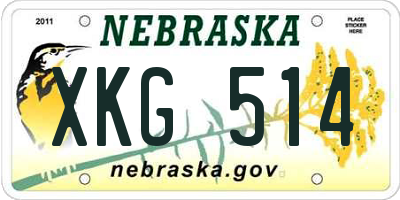 NE license plate XKG514