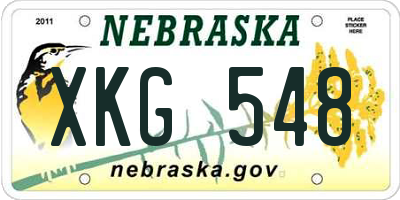 NE license plate XKG548