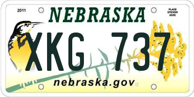 NE license plate XKG737
