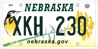 NE license plate XKH230