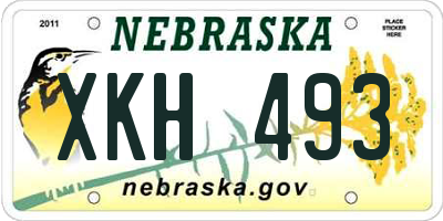 NE license plate XKH493