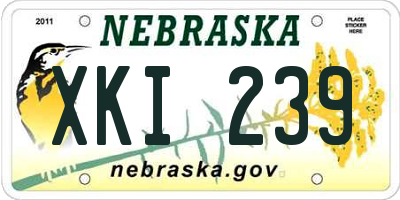 NE license plate XKI239