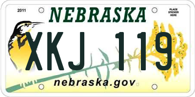 NE license plate XKJ119