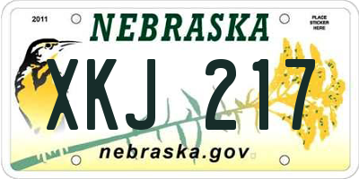 NE license plate XKJ217