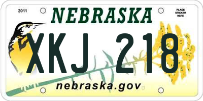 NE license plate XKJ218