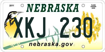 NE license plate XKJ230