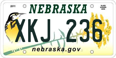 NE license plate XKJ236