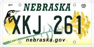 NE license plate XKJ261