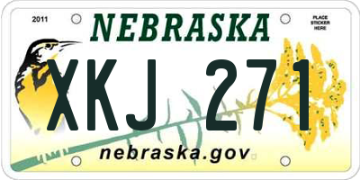 NE license plate XKJ271