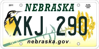 NE license plate XKJ290