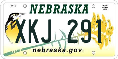 NE license plate XKJ291