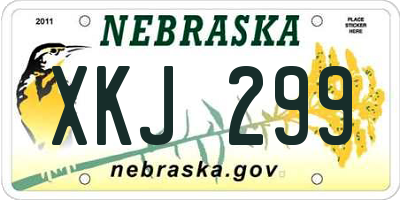 NE license plate XKJ299