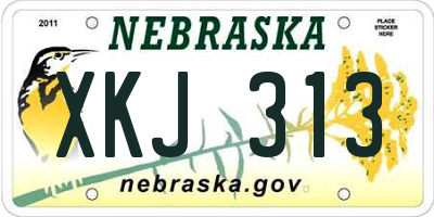 NE license plate XKJ313