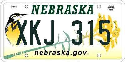 NE license plate XKJ315