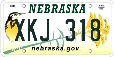 NE license plate XKJ318