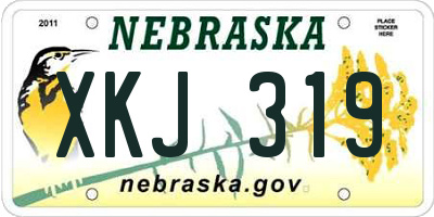 NE license plate XKJ319