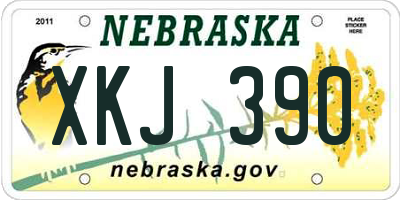 NE license plate XKJ390