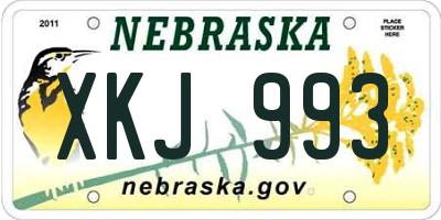 NE license plate XKJ993