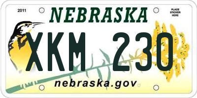 NE license plate XKM230