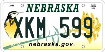 NE license plate XKM599