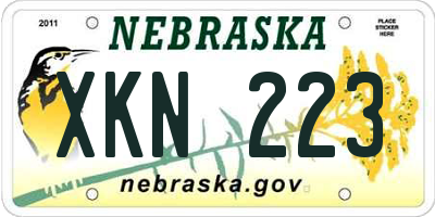 NE license plate XKN223