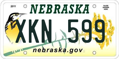NE license plate XKN599