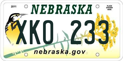 NE license plate XKO233