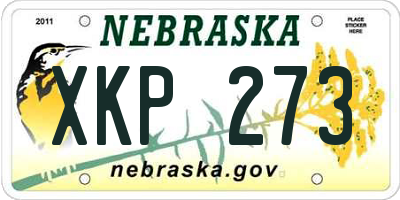 NE license plate XKP273