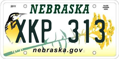 NE license plate XKP313