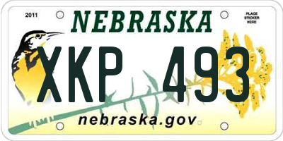 NE license plate XKP493