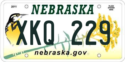 NE license plate XKQ229