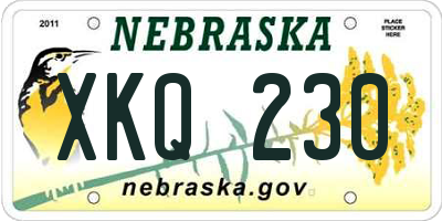 NE license plate XKQ230
