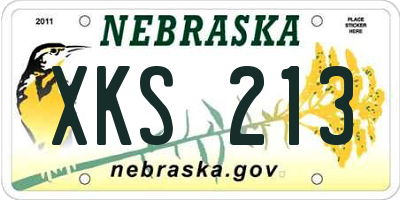 NE license plate XKS213