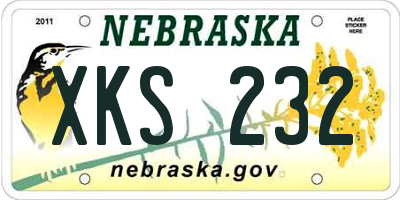NE license plate XKS232