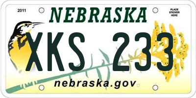 NE license plate XKS233