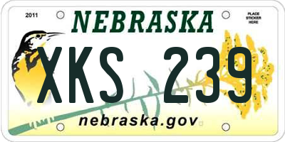 NE license plate XKS239
