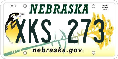 NE license plate XKS273