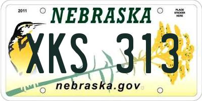 NE license plate XKS313